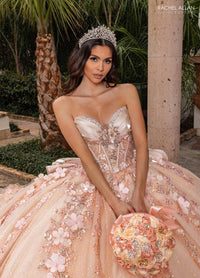 Alta Couture Quinceanera Dress RQ3162