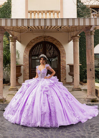 Alta Couture Quinceanera Dress RQ3163