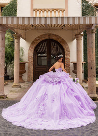 Alta Couture Quinceanera Dress RQ3163