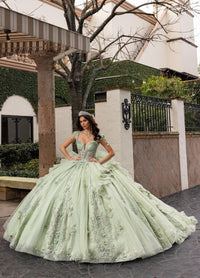 Alta Couture Quinceanera Dress RQ3163