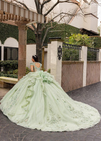 Alta Couture Quinceanera Dress RQ3163