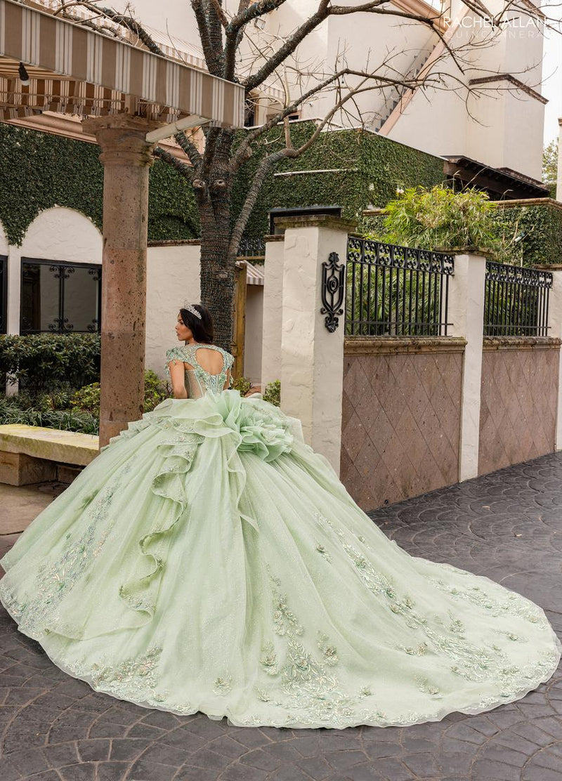 Alta Couture Quinceanera Dress RQ3163