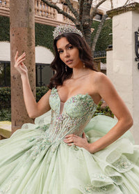 Alta Couture Quinceanera Dress RQ3163