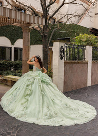 Alta Couture Quinceanera Dress RQ3163