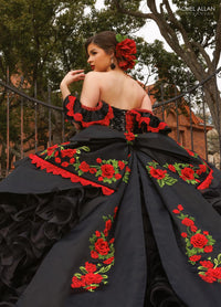 Rachel Allan Quinceanera Dress RQ5021
