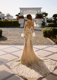 33727-Lace long sleeve and high neck