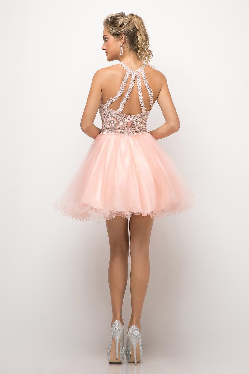 Ladivine Dress UJ0119