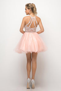 Ladivine Dress UJ0119