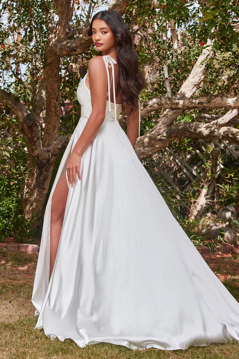Ladivine Dress BD104W - Plunging Neckline, Long Floral Fit and Flare