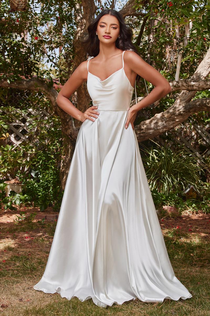 Ladivine Dress BD104W - Plunging Neckline, Long Floral Fit and Flare