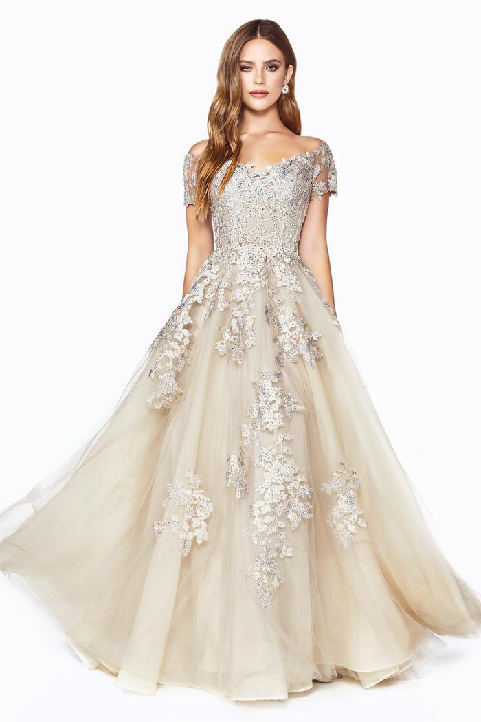 Ladivine Dress C20 - Plunge Neckline Floral Fit and Flare Gown