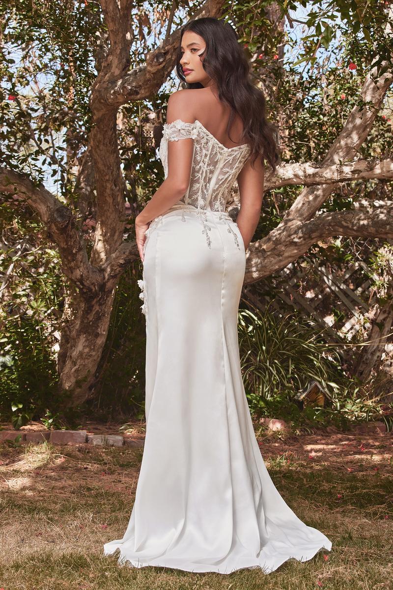 Ladivine Dress CD0186W