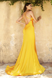 Ladivine Dress CH236 - Plunge Neckline, Long Floral Fit and Flare Gown