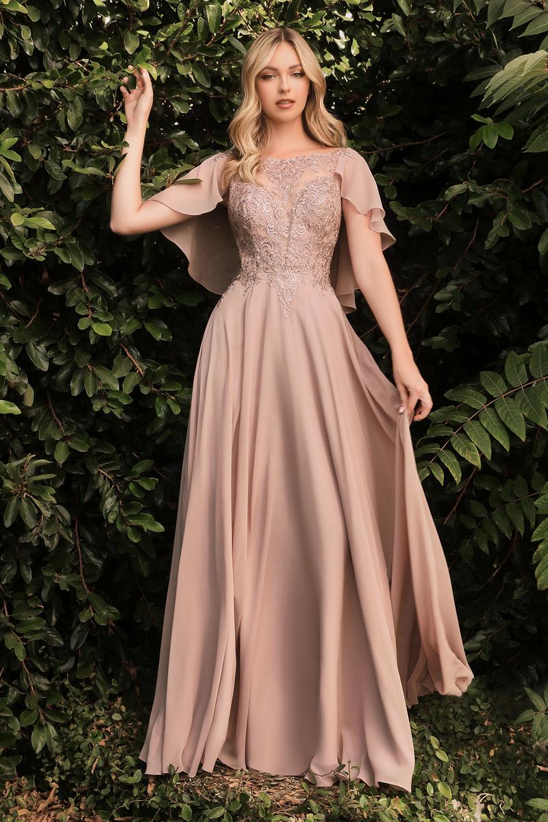 Ladivine Dress HT101 - Plunge Neckline, Long Floral Fit and Flare Gown