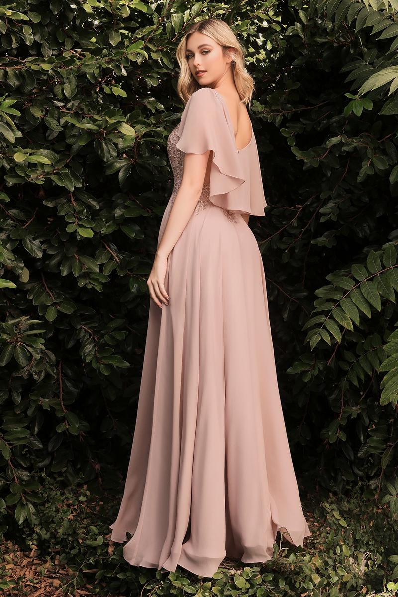 Ladivine Dress HT101 - Plunge Neckline, Long Floral Fit and Flare Gown