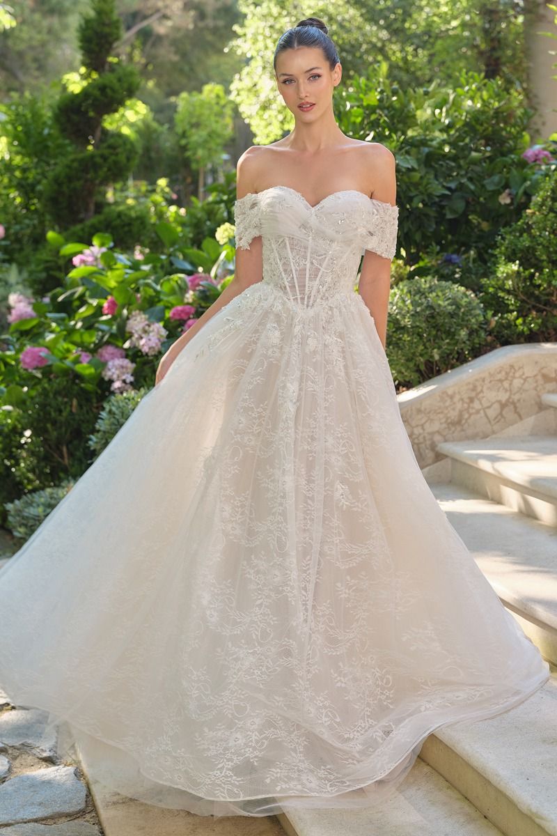 33489 - Embroidered Lace Tulle Ball Gown