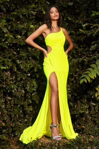 Cinderella Divine Dress Y023